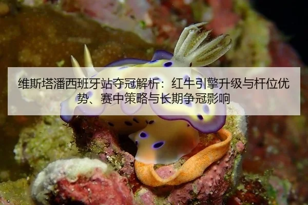 wei-si-ta-pan-xi-ban-ya-zhan-duo-guan-jie-xi-hong-niu-yin-qing-sheng-ji-yu-gan-wei-you-shi-sai-zhong-ce-lve-yu-chang-qi-3-315.jpg