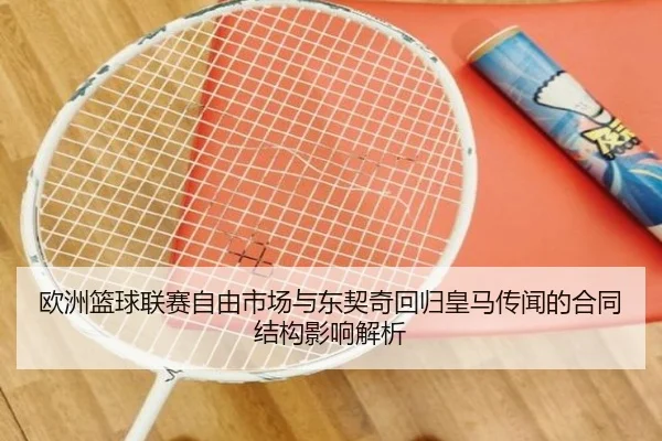 ou-zhou-lan-qiu-lian-sai-zi-you-shi-chang-yu-dong-qi-qi-hui-gui-huang-ma-chuan-wen-de-he-tong-jie-gou-ying-xiang-jie-xi-3-571.jpg