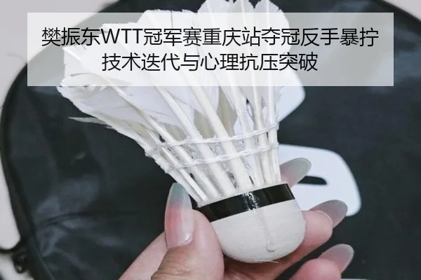 fan-zhen-dong-guan-jun-sai-chong-qing-zhan-duo-guan-fan-shou-bao-ning-ji-shu-die-dai-yu-xin-li-kang-ya-tu-po-3-795.jpg